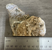8th Vein Ocean Jasper Slab #65