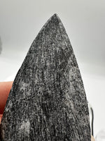 Natural Orthoceras Fossil Specimen #22