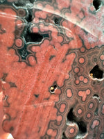 8th Vein Ocean Jasper Slab #64
