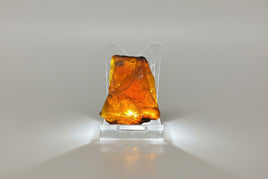Raw Amber Specimen #9