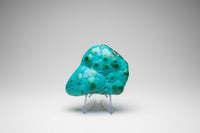 Polished Malachite, Chrysocolla Freeform Zaire, Africa #3