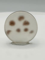 Scenic Dendritic Agate Cabochon #3