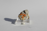 Spessartine Garnet Crystals with Quartz on Microcline Matrix