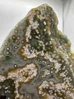 8th Vein Ocean Jasper Slab #6