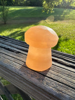 Peach Selenite Mushroom #4