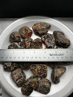 Madagascar Raw Amber Specimens BIN #1
