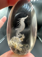 Beautiful Seahorse Garden Quartz Inner Scene Carving #3