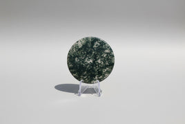 Moss Agate Polished Round Slice #27