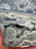8th Vein Ocean Jasper Slab #61