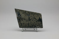 Free Form Pyrite Flowers Symbiosis Mixed Agate Slab #4