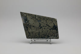 Free Form Pyrite Flowers Symbiosis Mixed Agate Slab #4