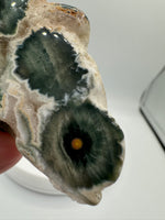 8th Vein Ocean Jasper Slab #49