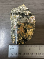 8th Vein Ocean Jasper Slab #92