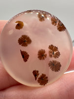 Scenic Dendritic Agate Cabochon #6