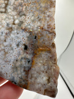 8th Vein Ocean Jasper Slab #41
