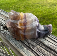 Fluorite Dragon Head Carving #3