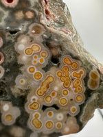 8th Vein Ocean Jasper Slab #21