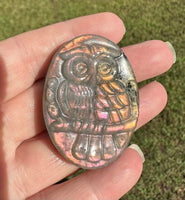 Pink & Orange Carved Labradorite Owl with Case