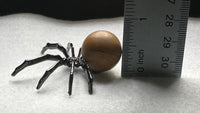 Spider with Jasper Sphere