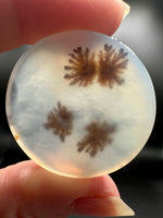 Scenic Dendritic Agate Cabochon #9