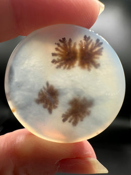 Scenic Dendritic Agate Cabochon #9