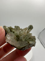 Chlorite Included Himalaya Quartz Crystal from Pakistan