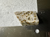 Ocean Jasper Free-form #9