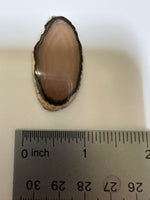 Agate Slice #31