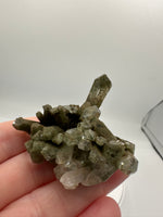 Chlorite Included Himalaya Quartz Crystal from Pakistan