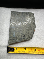 Free Form Pyrite Flowers Symbiosis Mixed Agate Slab #3