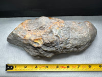 Large Polished Agate with Druzy