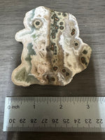 One of a Kind Bunny Shaped 8th Vein Ocean Jasper Slab #2