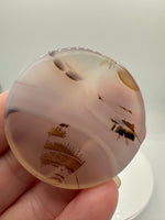 Designer Dendritic Agate Cabochon #9