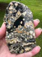8th Vein Ocean Jasper Slab #33