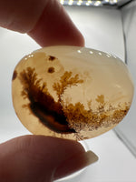 Designer Dendritic Agate Cabochon #6