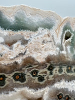 8th Vein Ocean Jasper Slab #62