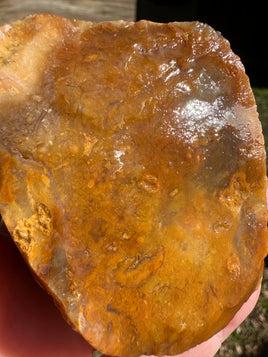 Savannah River Agate Specimen 1a