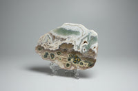 8th Vein Ocean Jasper Slab #110