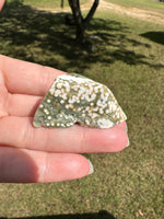 Ocean Jasper Free-form #4