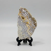 8th Vein Ocean Jasper Slab #74