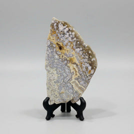 8th Vein Ocean Jasper Slab #74