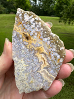 8th Vein Ocean Jasper Slab #74
