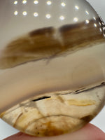 Designer Dendritic Agate Cabochon #4