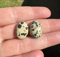 Dalmatian Jasper 18x13mm Cabochon Pair