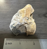 Pyrite Crystals, Malvern, Arkansas