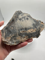 Dendritic Opal Slab