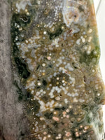 8th Vein Ocean Jasper Slab #14