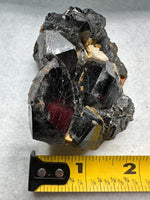 Uvite, Powers Farm, Pierrepont, New York