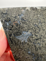 Free Form Pyrite Flowers Symbiosis Mixed Agate Slab #3