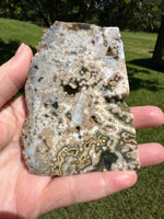 8th Vein Ocean Jasper Slab #131